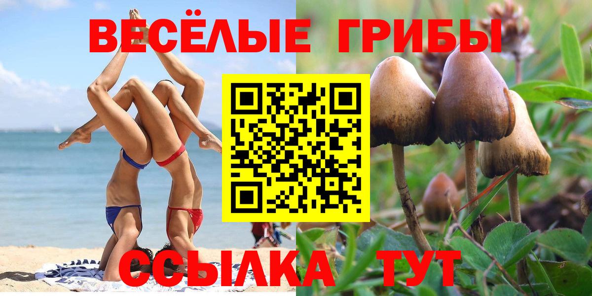 Галлюциногенные грибы прущие грибы  Вход с VPN  купить наркотики цена  Кувандык 